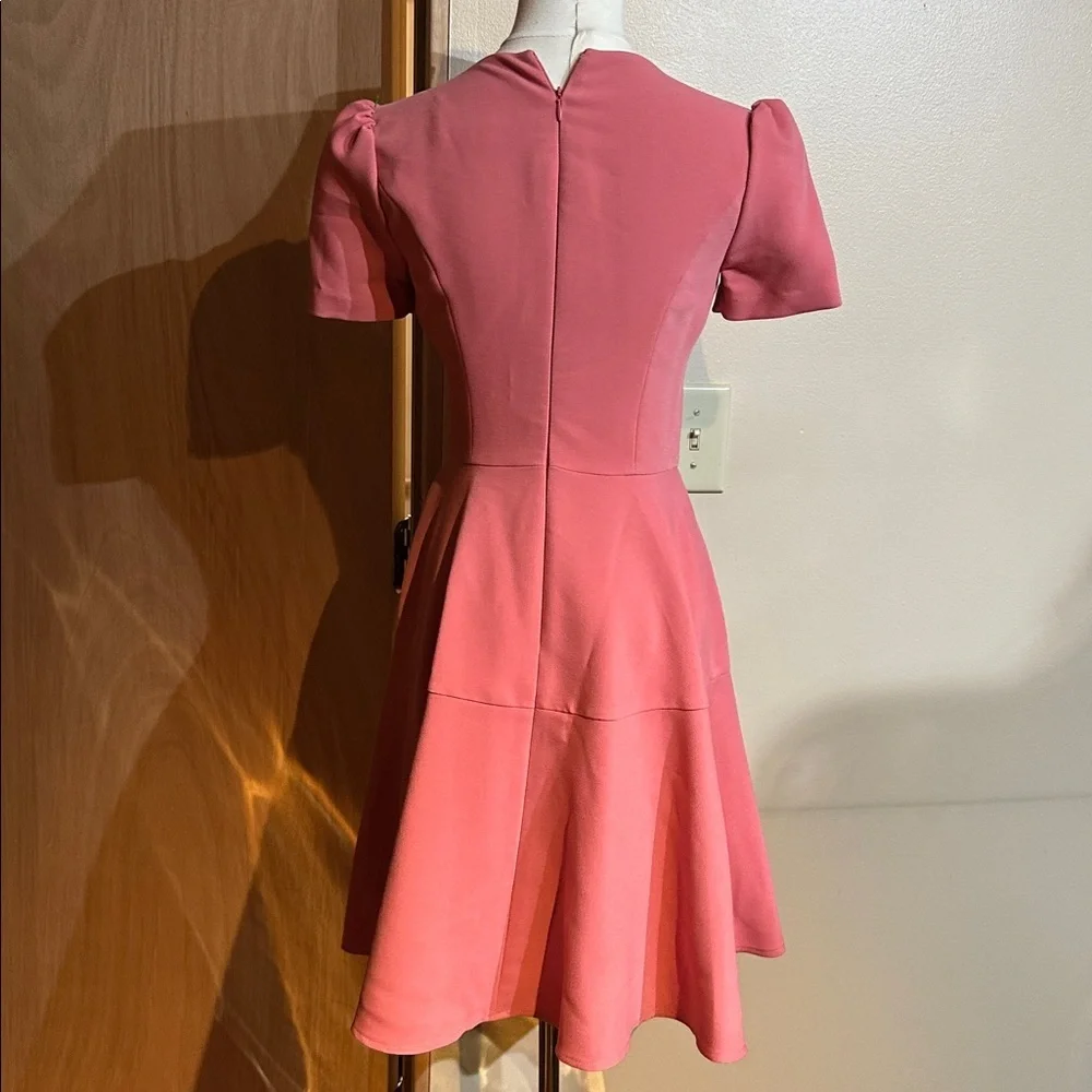 Gal Meets Glam rose Dress - Picture 4 of 4